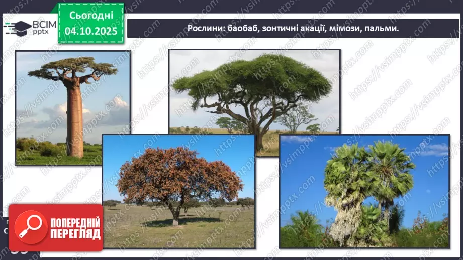 №0020 - Природні зони Землі.23 №0020 - Природні зони Землі.23