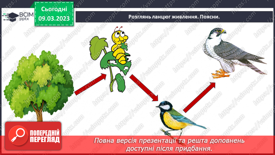 №080 - Ставок і ліс як екосистеми.27