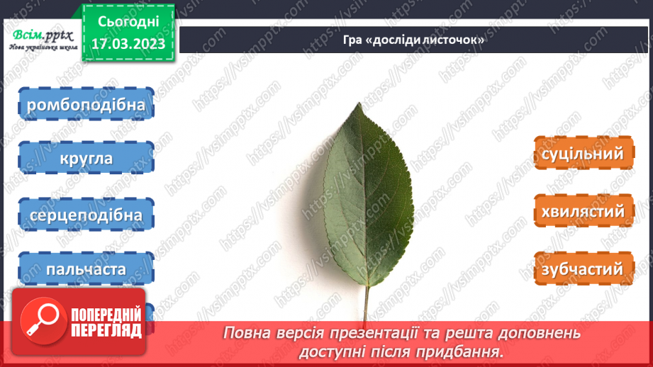 №28 - Живі листки на папері. Створення весняної листівки на тему «Бережімо природу»12 №28 - Живі листки на папері. Створення весняної листівки на тему «Бережімо природу»12