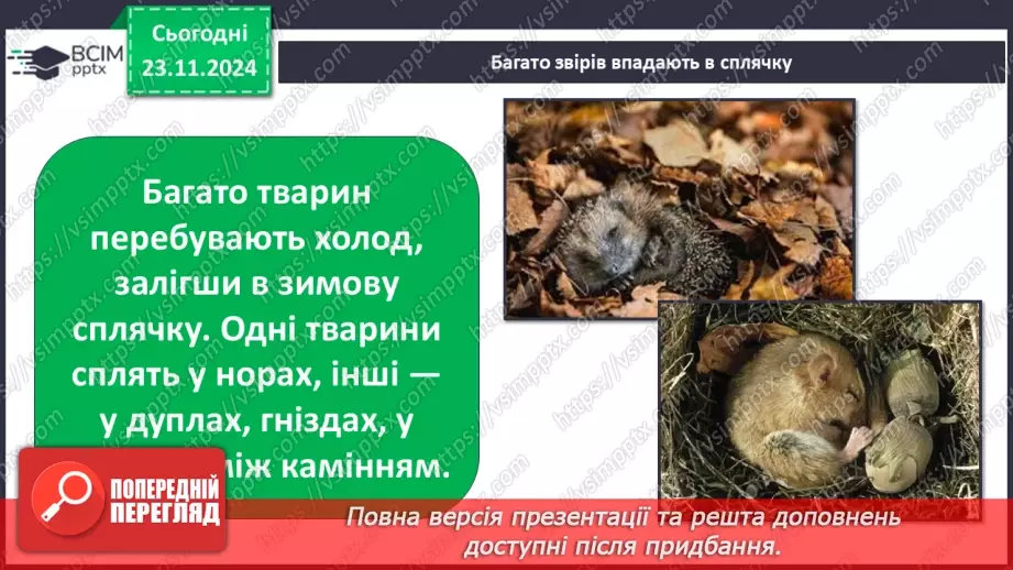 №0037 - Як звірі готуються до зими23 №0037 - Як звірі готуються до зими23