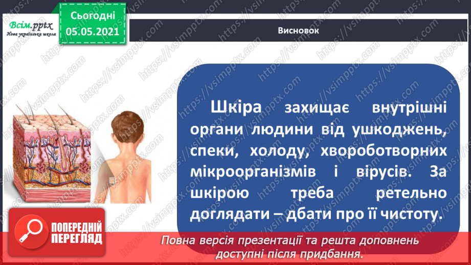 №053 - Функції шкіри. Практична робота.21 №053 - Функції шкіри. Практична робота.21