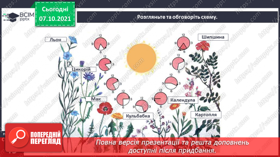 №024 - Рухи Землі і їх наслідки. Рух Землі навколо своєї осі15 №024 - Рухи Землі і їх наслідки. Рух Землі навколо своєї осі15