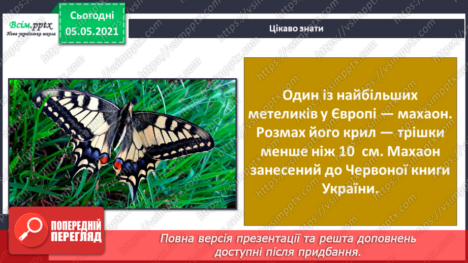 №041 - Різноманітність тварин у природі. Комахи22 №041 - Різноманітність тварин у природі. Комахи22