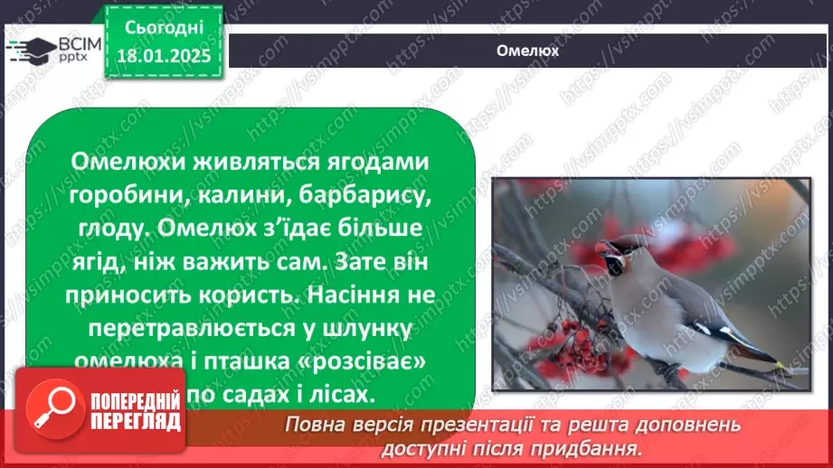 №0055 - Як зимують птахи та звірі9 №0055 - Як зимують птахи та звірі9