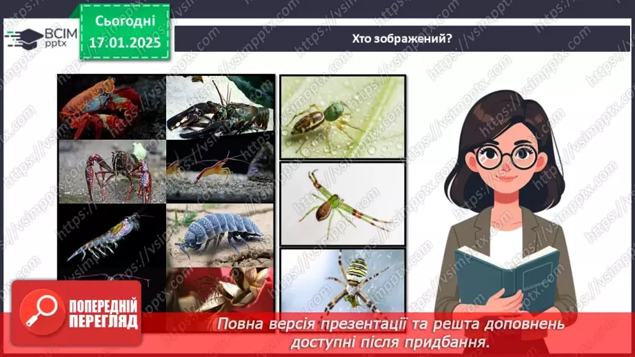 №55 - Членистоногі - безхребетні тварини із зовнішнім скелетом. Ракоподібні.2