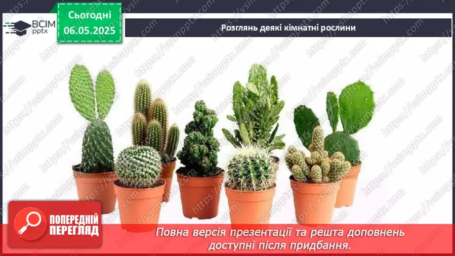 №101-102 - Догляд за кімнатними рослинами. Пересаджування квітів9