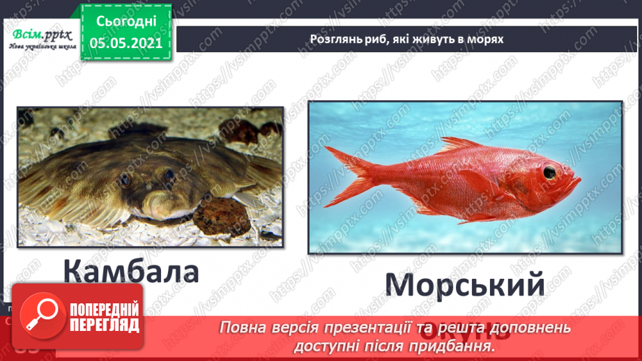 №053-54 - Природне угруповання—море. Подорож- спостереження «Природне угруповання нашої місцевості»14 №053-54 - Природне угруповання—море. Подорож- спостереження «Природне угруповання нашої місцевості»14