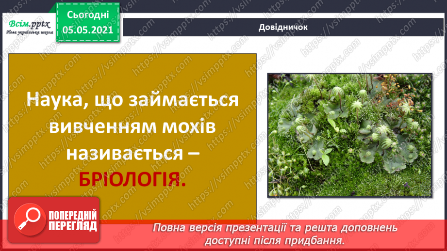 №033 - Мохи.9 №033 - Мохи.9