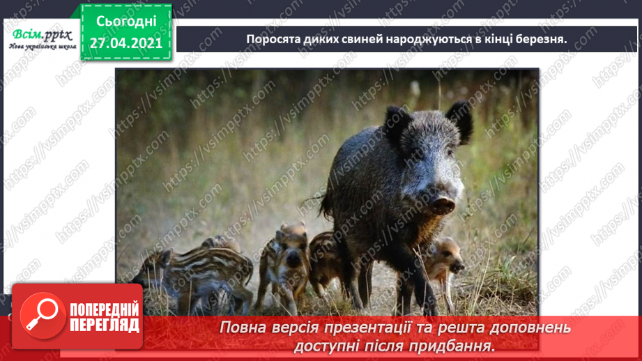 №088-89 - Які турботи приносить весна звірам?16