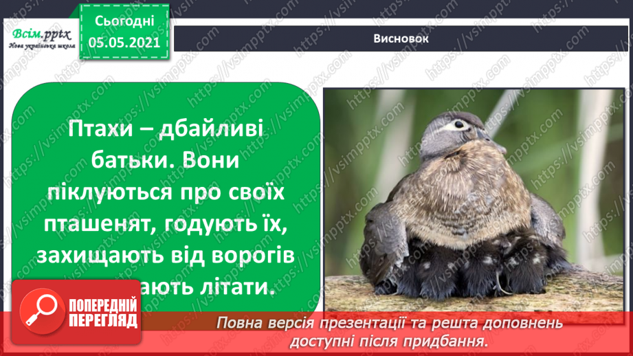 №045 - Різноманітність тварин у природі. Птахи26