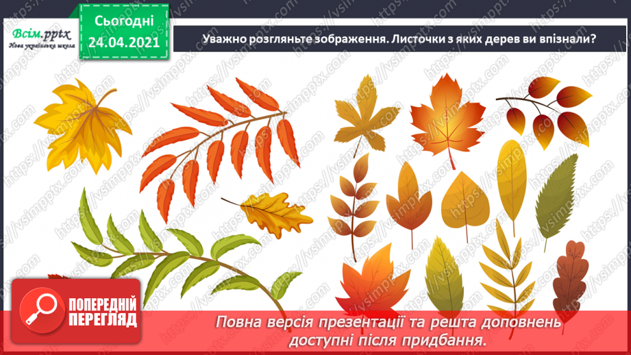 №04 - Калейдоскоп фантазій. Основні та похідні кольори. Робота з природним матеріалом. Створення панно «Пташиний танок»20