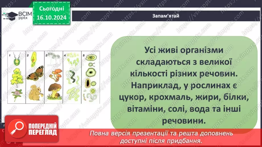 №027 - Тіла і речовини23