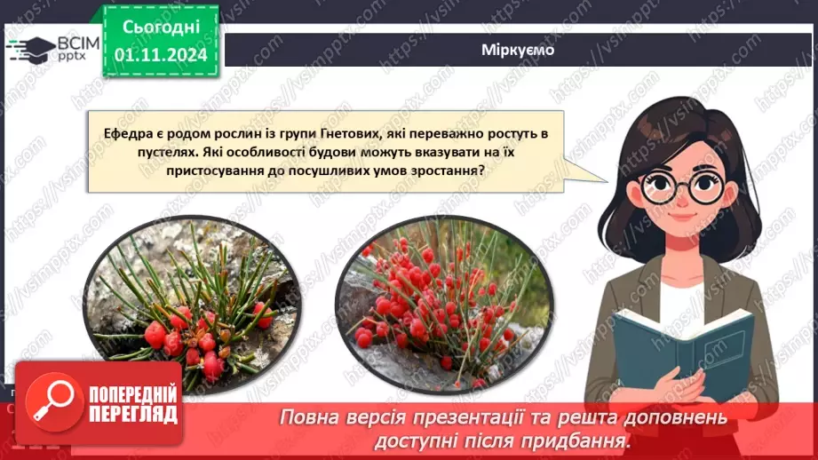 №31 - Насінні рослини та їх значення. Голонасінні.24 №31 - Насінні рослини та їх значення. Голонасінні.24