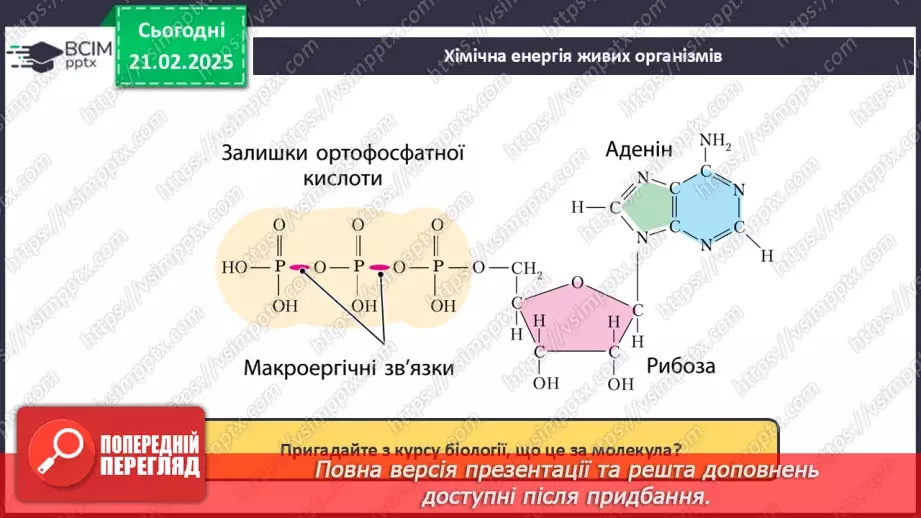 №24 - Вуглеводи. Глюкоза.31 №24 - Вуглеводи. Глюкоза.31