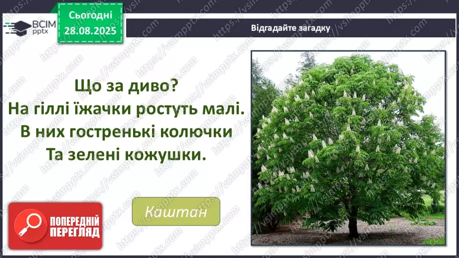 №02 - Основні поняття: графіка, графічні матеріали СМ: В. Мамчич «Кримське дерево»; методичний малюнок дерева пастеллю5 №02 - Основні поняття: графіка, графічні матеріали СМ: В. Мамчич «Кримське дерево»; методичний малюнок дерева пастеллю5