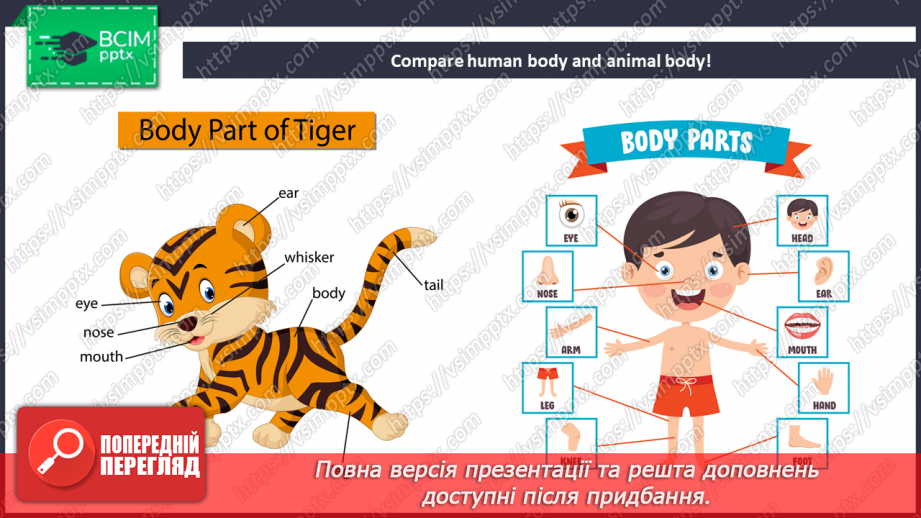 №056 - How many hands and legs?8 №056 - How many hands and legs?8