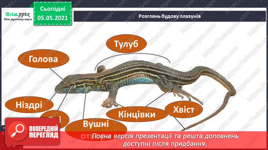 №044 - Різноманітність тварин у природі. Плазуни9 №044 - Різноманітність тварин у природі. Плазуни9