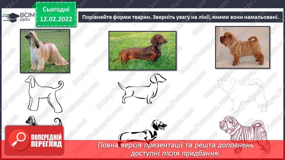№023 - Анімалістичний жанр, анімалізм, художники-анімалісти16