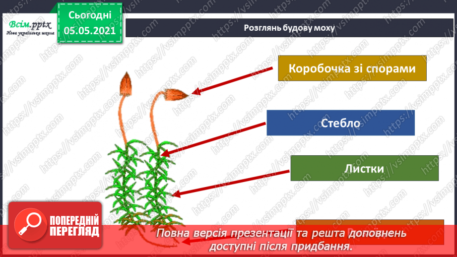 №033 - Мохи.18 №033 - Мохи.18