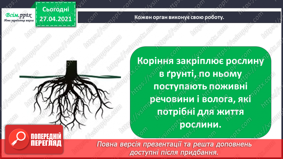 №011 - 012 - Якими бувають рослини? Як розрізняють рослини? Проводимо дослідження. Які умови потрібні рослинам для життя?7