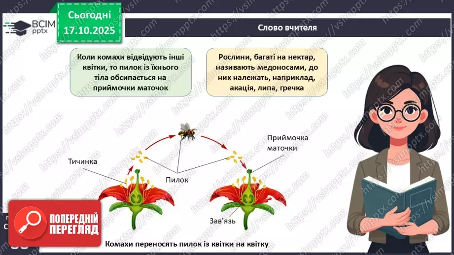 №025 - Покритонасінні рослини: пристосування до життя на суходолі, суцвіття, запилення й запліднення.17 №025 - Покритонасінні рослини: пристосування до життя на суходолі, суцвіття, запилення й запліднення.17