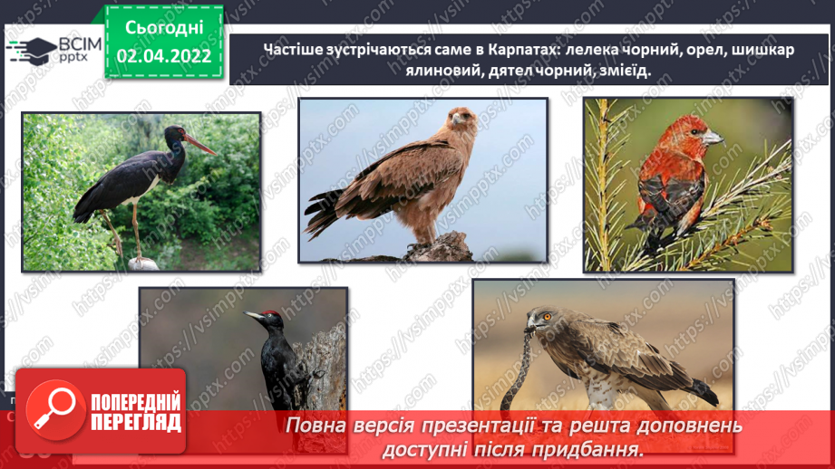 №082 - Українські Карпати21 №082 - Українські Карпати21