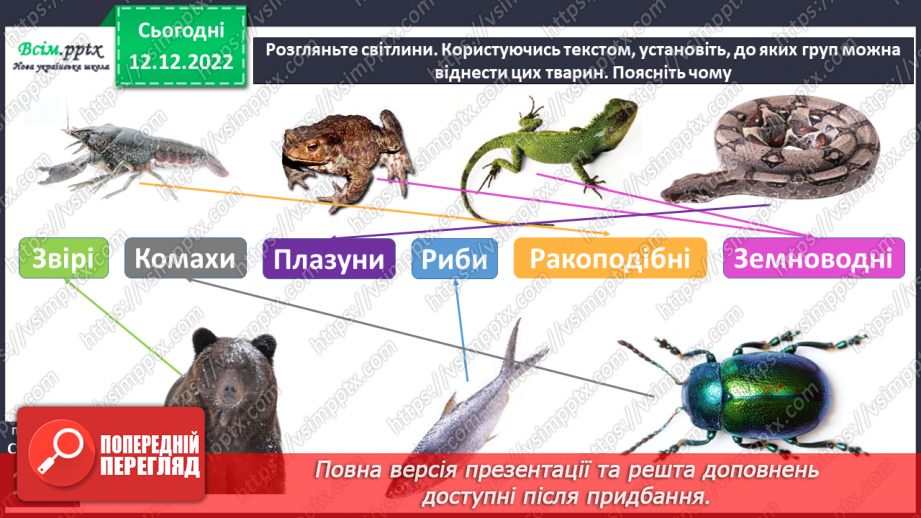 №044 - Різноманітний світ тварин9