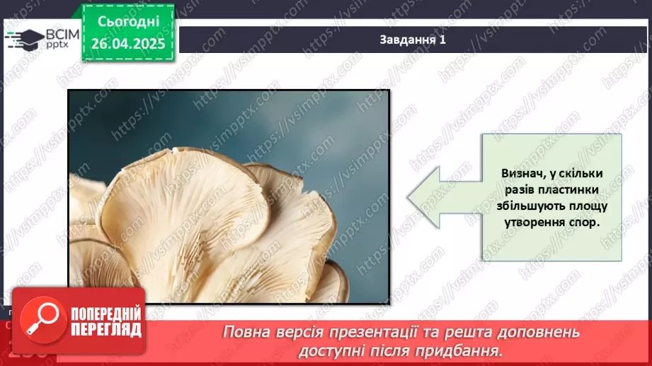 №80 - Узагальнювальні дослідницькі завдання.10 №80 - Узагальнювальні дослідницькі завдання.10