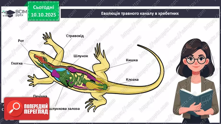 №022 - Живлення як властивість живого. Еволюція травної системи тварин.24 №022 - Живлення як властивість живого. Еволюція травної системи тварин.24