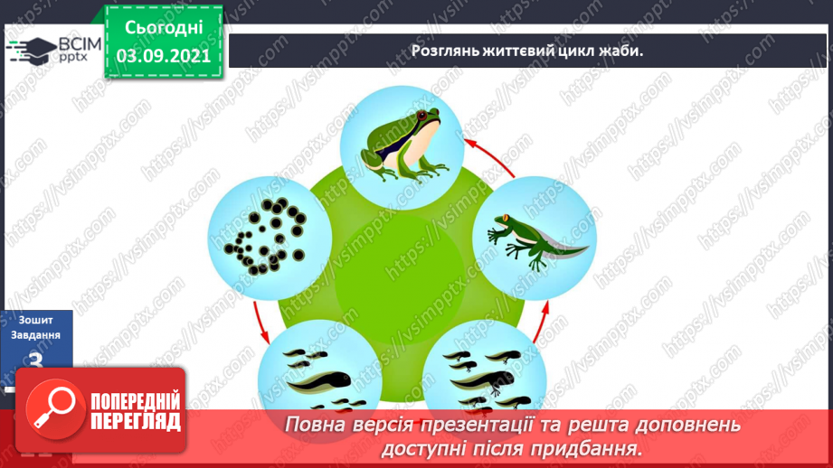 №008 - Як змінюються істоти та люди впродовж життя?16