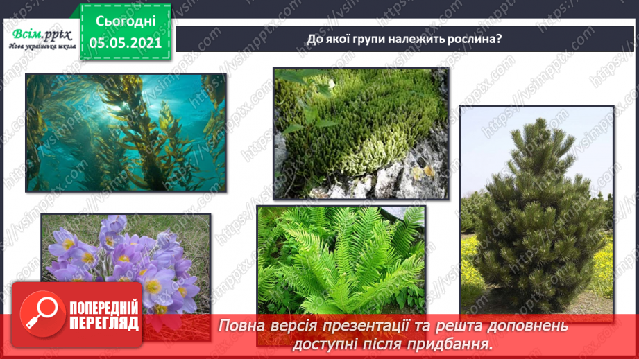 №043-44 - За Ю. Ярмишем «Білченя та метелик» .14 №043-44 - За Ю. Ярмишем «Білченя та метелик» .14