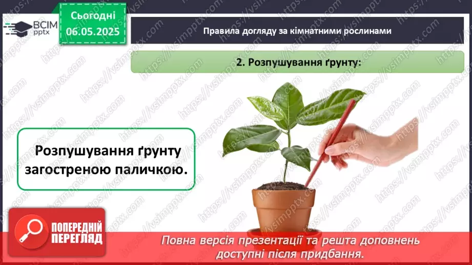 №101-102 - Догляд за кімнатними рослинами. Пересаджування квітів14