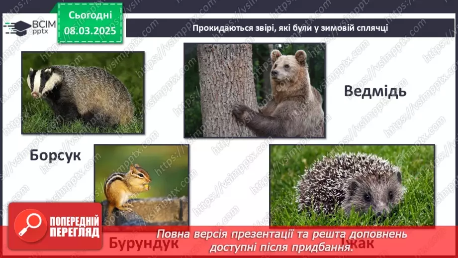 №0078 - Які зміни в житті звірів навесні5 №0078 - Які зміни в житті звірів навесні5