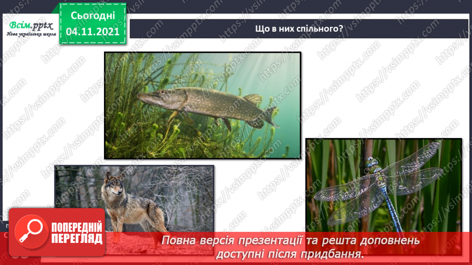 №040 - Як тварини пристосувалися добувати корм18 №040 - Як тварини пристосувалися добувати корм18