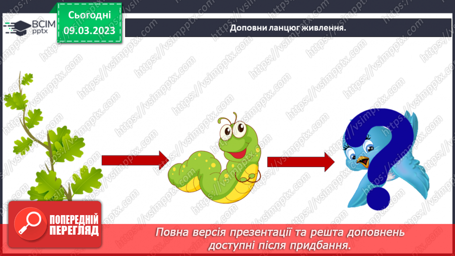 №080 - Ставок і ліс як екосистеми.29