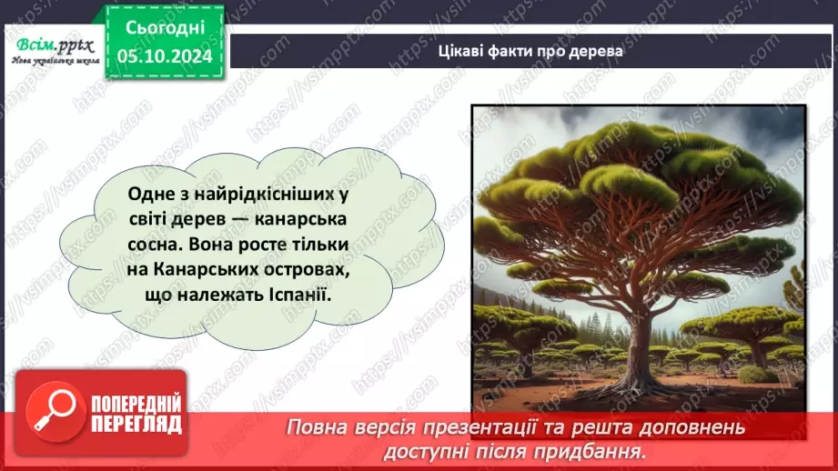 №07 - Аплікація з паперу. Проєктна робота «Аплікація рослин, які ростуть на шкільному подвір’ї».16