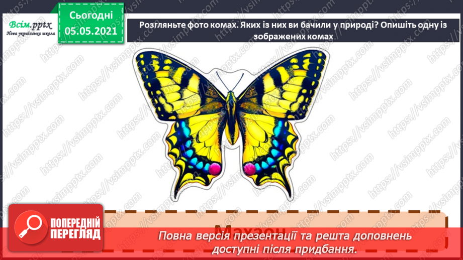 №041 - Різноманітність тварин у природі. Комахи14 №041 - Різноманітність тварин у природі. Комахи14