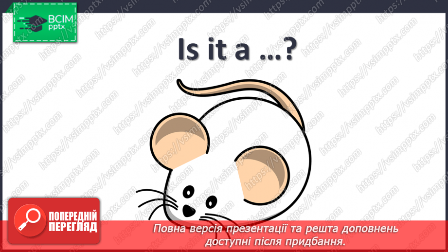 №33 - My pets18