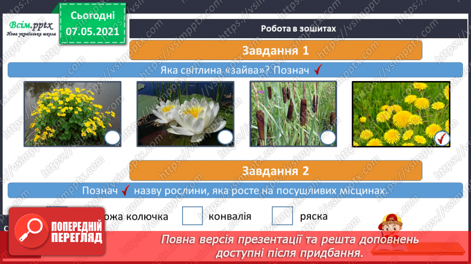 №040 - Пристосування квіткових рослин до різних умов життя16 №040 - Пристосування квіткових рослин до різних умов життя16