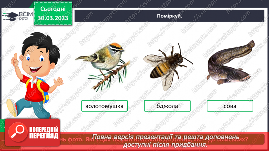 №0088 - Тварини рідного краю18 №0088 - Тварини рідного краю18