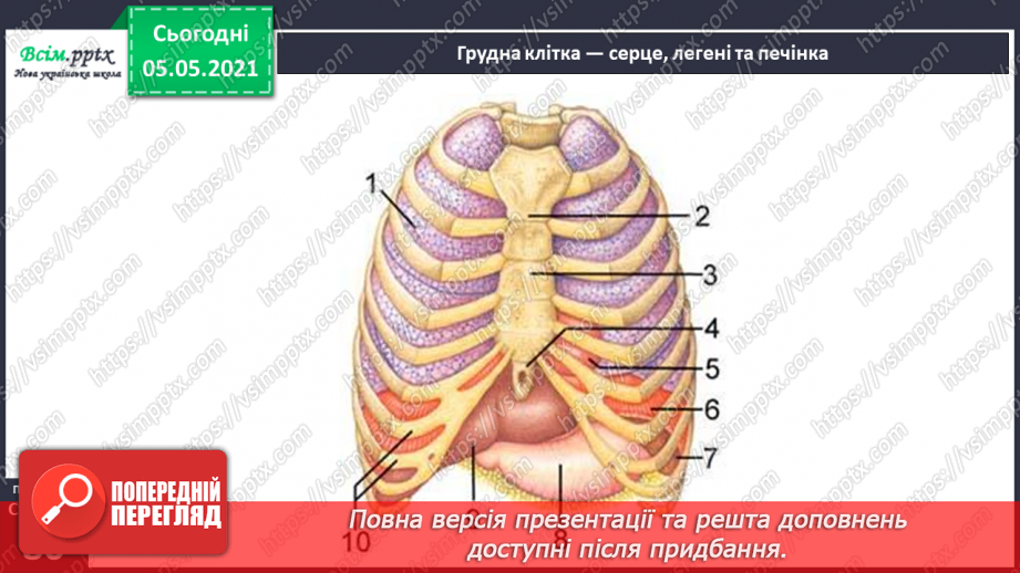 №057-58 - Скелет — опора тіла.18 №057-58 - Скелет — опора тіла.18