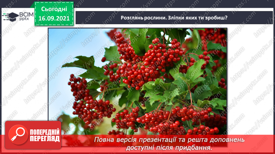 №005 - Робота з пластичними матеріалами. Виготовлення панно (пластилін, зразки рослин)8