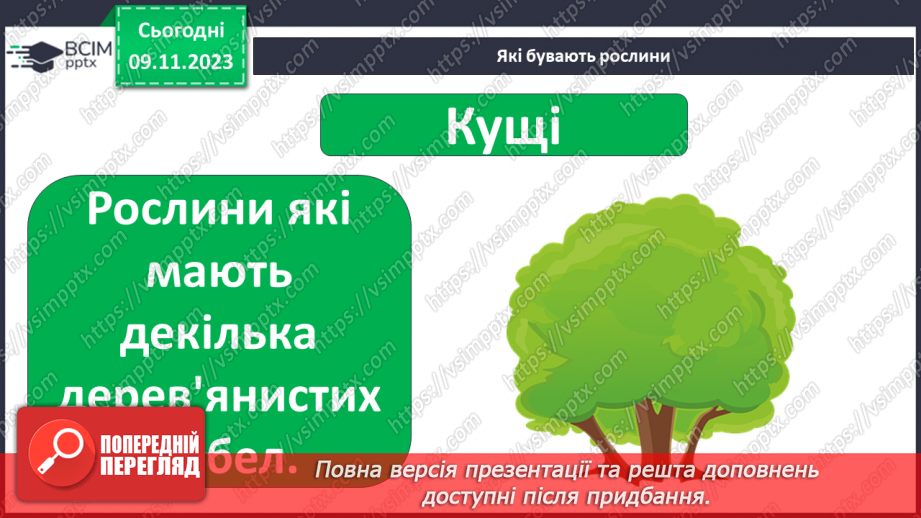 №034 - Рослини. Світ природи розмаїтий…14 №034 - Рослини. Світ природи розмаїтий…14