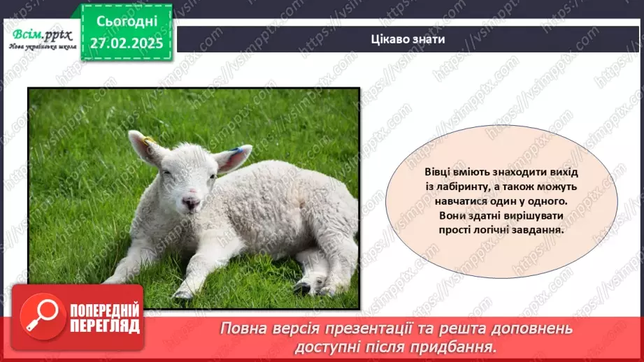 №25 - Робота з папером. Рвання і скручування паперу. Проєктна робота «Веселі вівці».11 №25 - Робота з папером. Рвання і скручування паперу. Проєктна робота «Веселі вівці».11