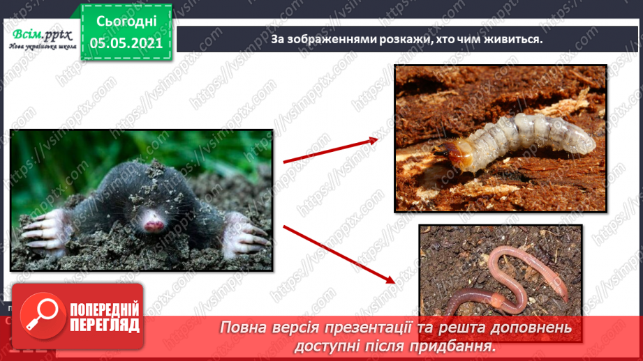 №096 - Ясніє в кожній квітці дивина.13 №096 - Ясніє в кожній квітці дивина.13