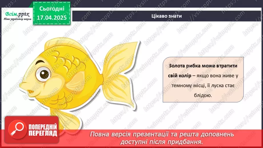 №31 - Аплікація з паперу. Виготовлення сюжетної композицій. Проєктна робота «Золота рибка».13 №31 - Аплікація з паперу. Виготовлення сюжетної композицій. Проєктна робота «Золота рибка».13