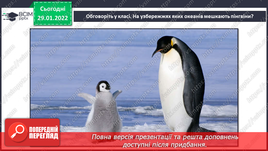 №21 - Інструктаж з БЖ.   Проєкт «Пінгвін»5 №21 - Інструктаж з БЖ.   Проєкт «Пінгвін»5