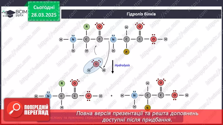 №29-30 - Білки.14 №29-30 - Білки.14
