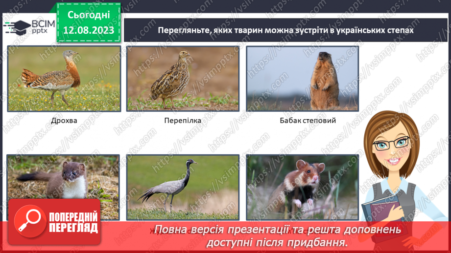 №46 - Степ, лісостеп, луки, поля (лани).11 №46 - Степ, лісостеп, луки, поля (лани).11