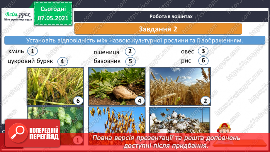 №041 - Різноманітність культурних рослин. Значення рослин14 №041 - Різноманітність культурних рослин. Значення рослин14
